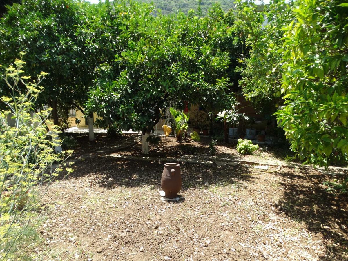 The Grapevine Rooms Poros  Exterior foto
